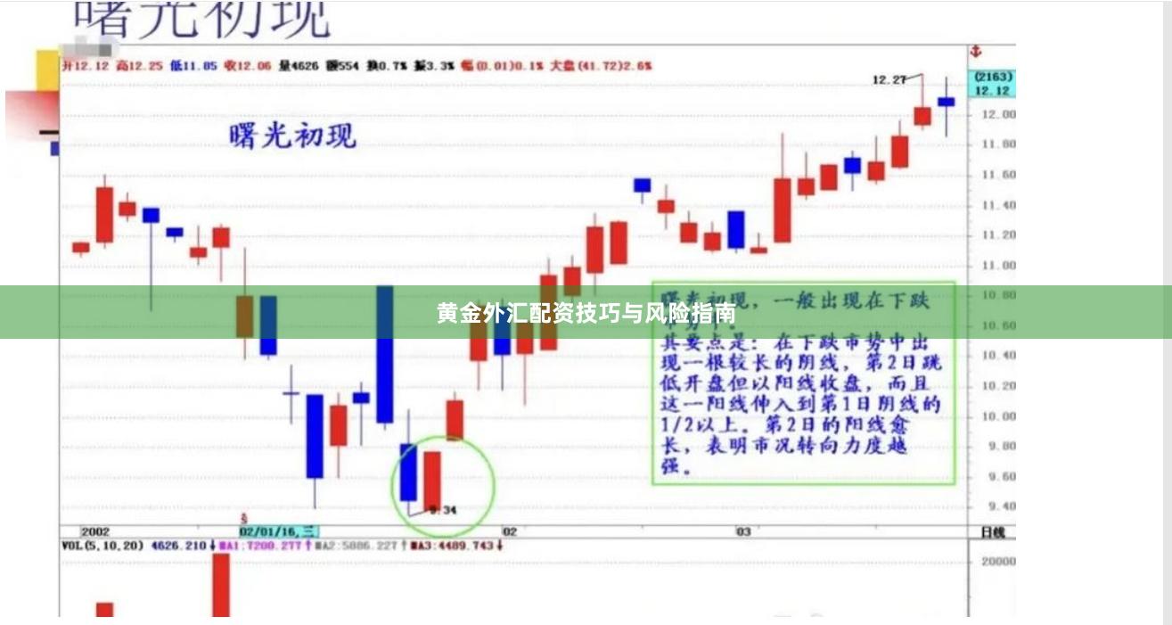 黄金外汇配资技巧与风险指南