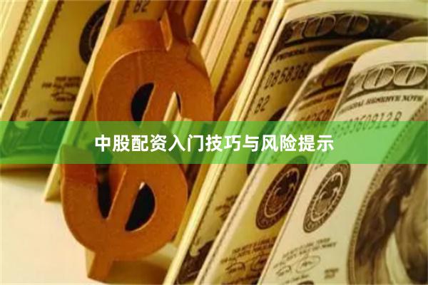 中股配资入门技巧与风险提示